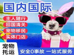 南京禄口机场货运国际宠物托运 【国